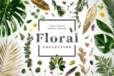 Download Floral Mockup Free Scene Premium Free Psd Mockup Store