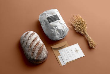 Download Free Mockups Premium Free Psd Mockup Store
