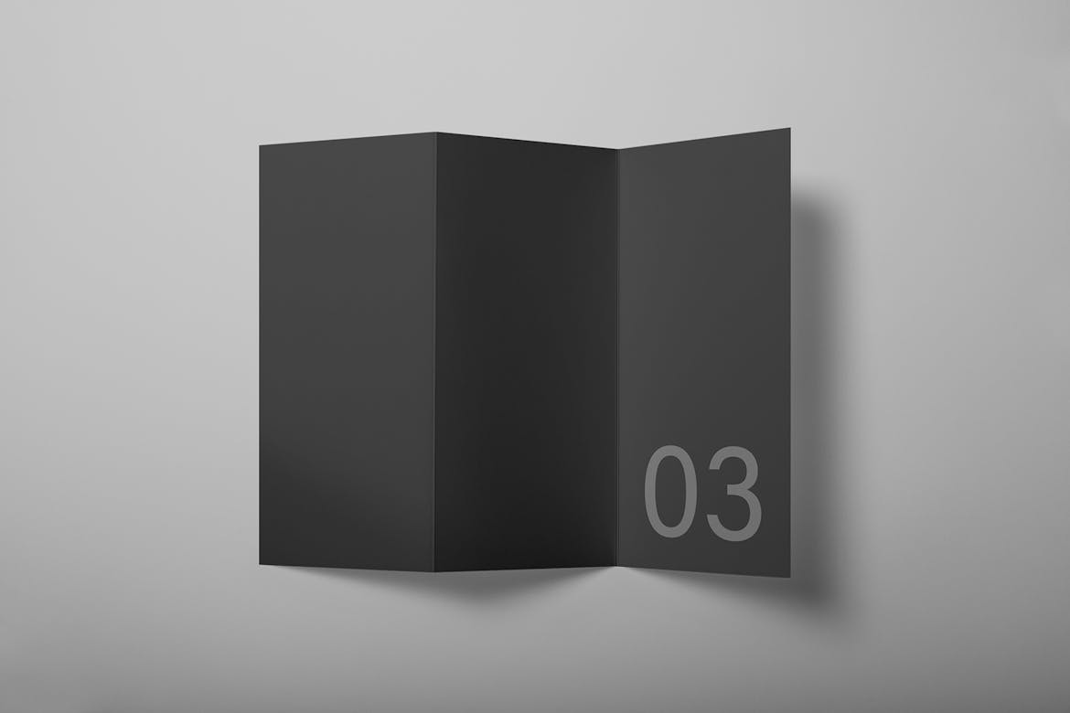 Tri-Fold Flyer Mockup Scene 03