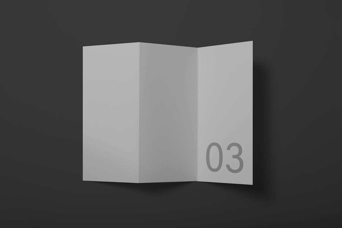 Tri-Fold Flyer Mockup Scene 03