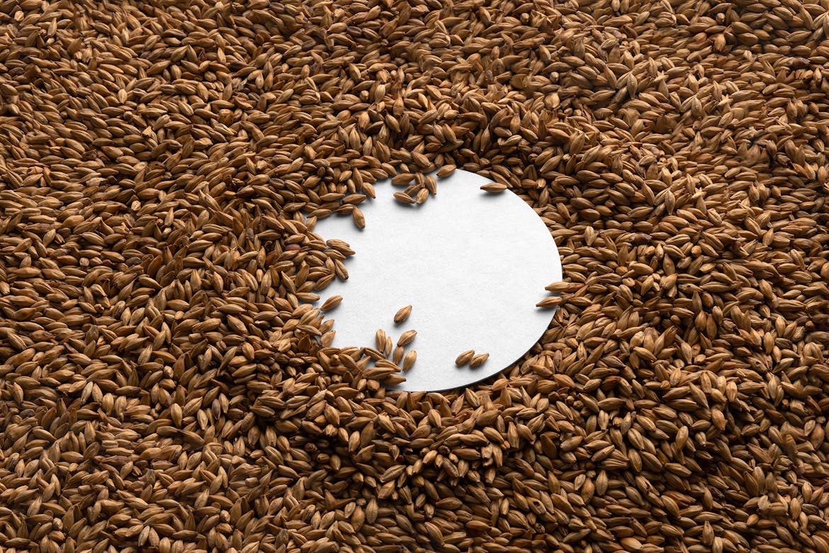 Beer Pad Malt Background Branding Mockup Scene 39